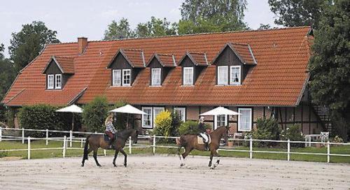 Heidehotel Gut Landliebe Hermannsburg Ngoại thất bức ảnh